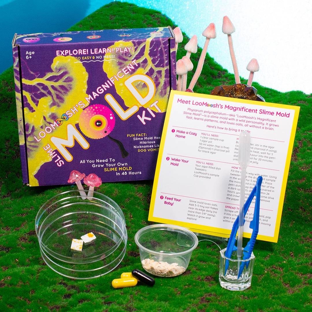 Slime Mold